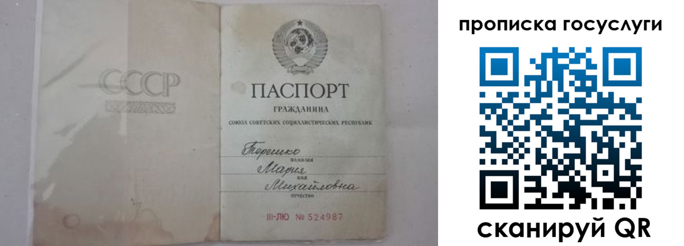 прописка ребенка в Железногорске